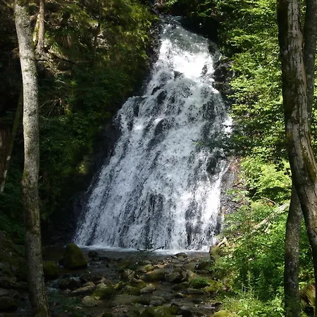 Fichtenhof Am Wasserfall Todtmoos