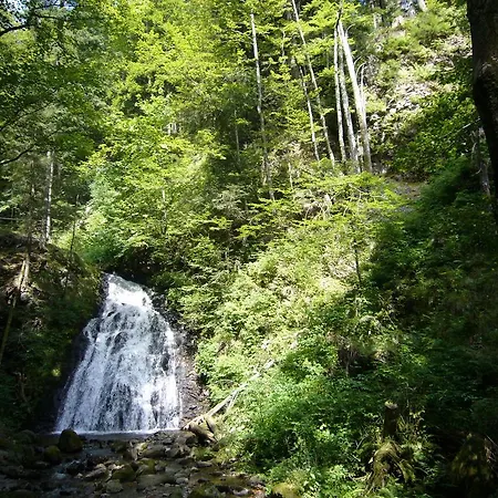 Fichtenhof Am Wasserfall