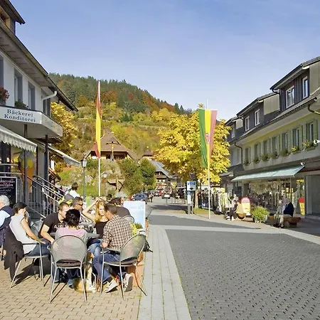 Vakantiehuis Fichtenhof Am Wasserfall Todtmoos